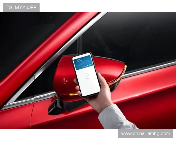 开云体育官网登入：提升账户安全性的方法与登录过程中常见的错误分析