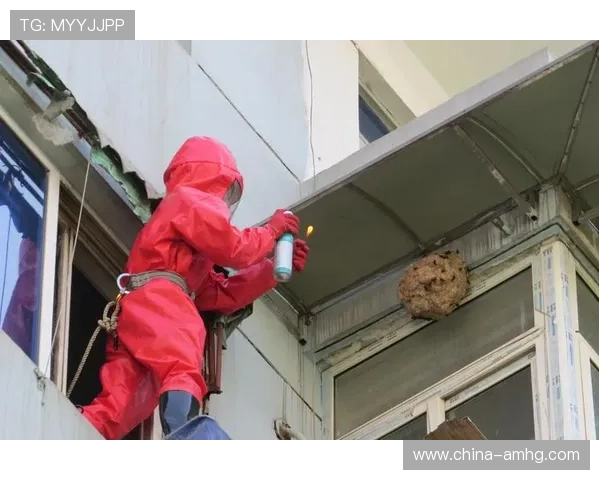 皇冠官网入口官方入口登录流程详解，确保每次登录都安全顺畅