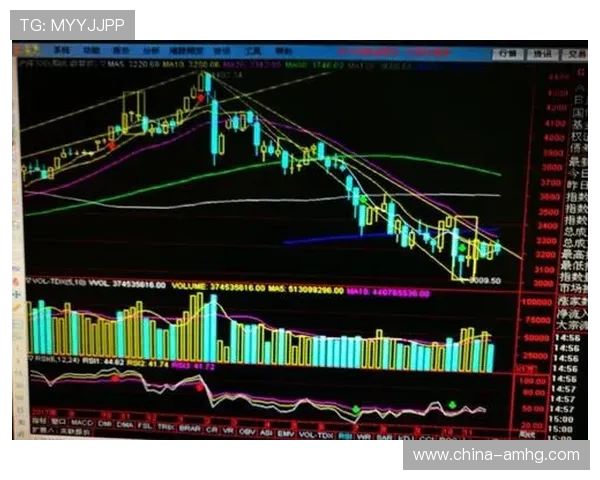 皇冠登录数字站的技术架构优化与未来发展趋势分析