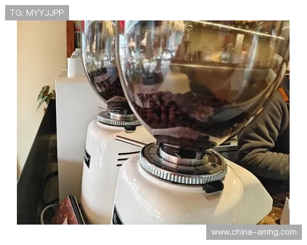 探索百宝来摩卡丰富的口味选择，让你的咖啡时光更加多彩多姿